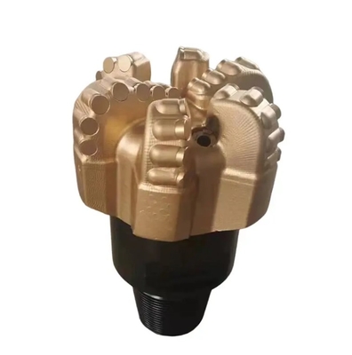 Petroleum PDC Cutter Insert Drill Bits